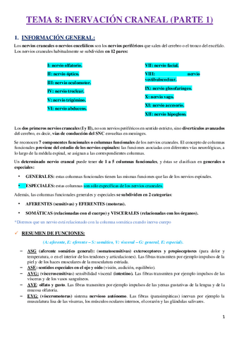 TEMA-8-inervacion-P1.-claudia-Callejo-segovia.pdf