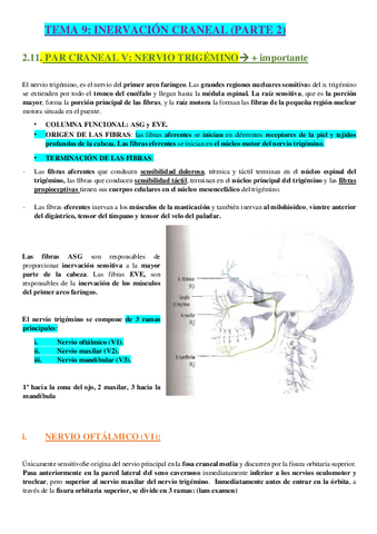TEMA-9-INERVACION-P2.-clau.pdf