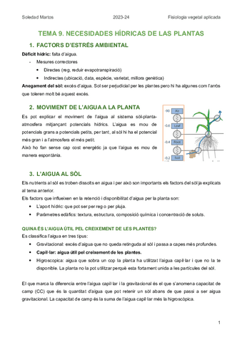 TEMA-9.-NECESIDADES-HIDRICAS-DE-LAS-PLANTAS.pdf