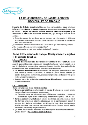 APUNTES-Do-INDIVIDUAL-DEL-TRABAJO.docx.pdf
