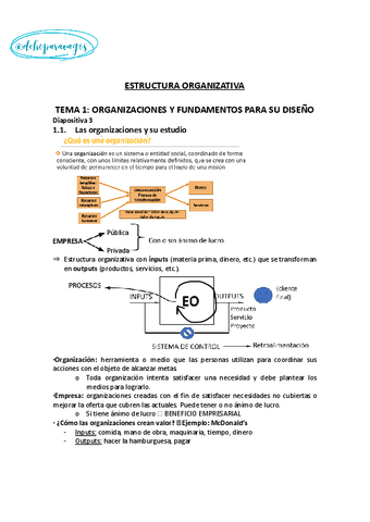 APUNTES-ESTRUCTURA-ORGANIZATIVA.docx.pdf