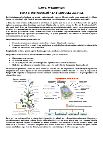 TOT-FISIOLOGIA-VEGETAL-MATRICULA-DHONOR.pdf