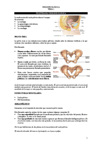 Urogine-tema-1.pdf