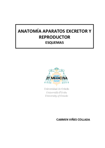 Apuntes:dibujos anatomía.pdf