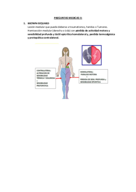 PREGUNTAS RESUELTAS AMII.pdf