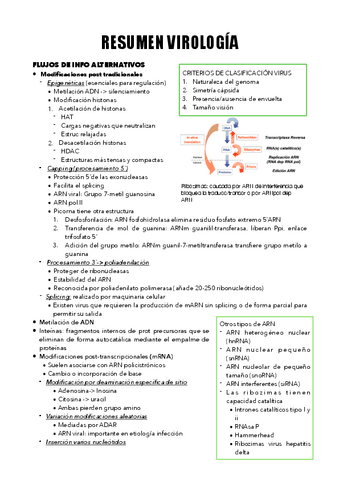 RESUMEN-VIRO.pdf