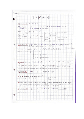 Practica Tema Pdf