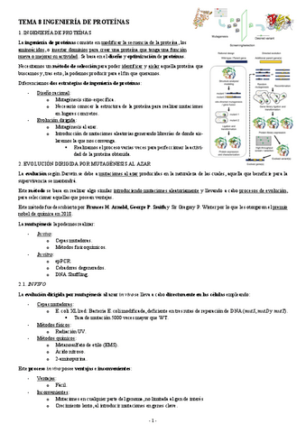 INGENIERIA-GENETICA-TEMA-8-INGENIERIA-DE-PROTEINAS.pdf