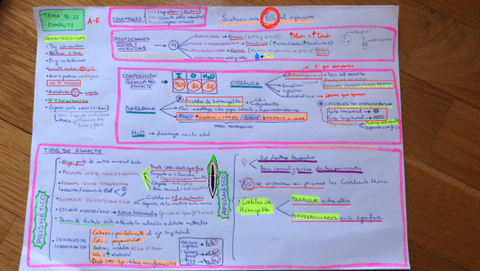 ESQUEMAS-TEMAS-2o-PARCIAL-HISTOLOGIA.pdf