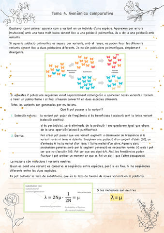 Tema-4-apunts.pdf