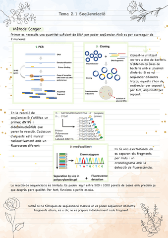 Tema-2-apunts.pdf