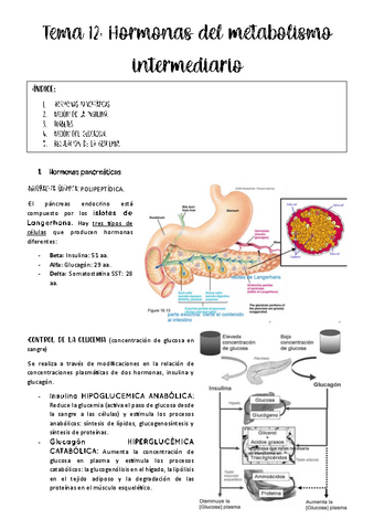 tema-12-fisio-animal.pdf