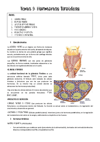 tema-9-fisio-animal.pdf