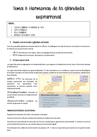 tema-11-fisio-animal.pdf