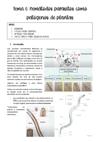tema-6-patologia.pdf