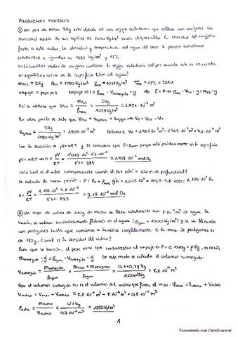 Problemas resueltos fluidos.pdf