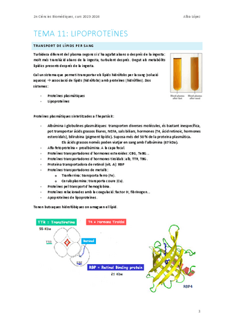 Tema-11.-Lipoproteines.pdf