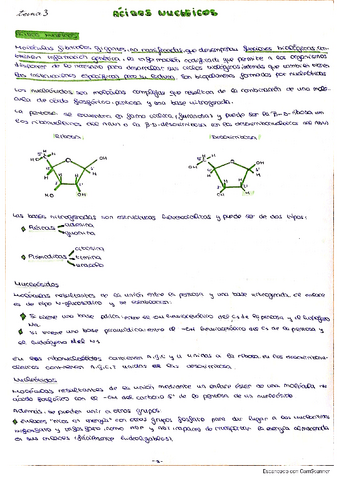 Acidos-nucleicos.pdf