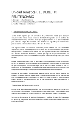tema I DºPenitenciario.pdf