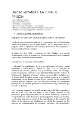 tema II Dº penitenciario.pdf