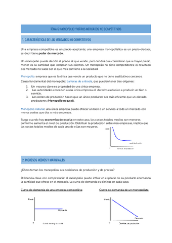 T6-ECONOMIA.pdf