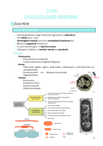 BIOZEL-2.gaia.pdf