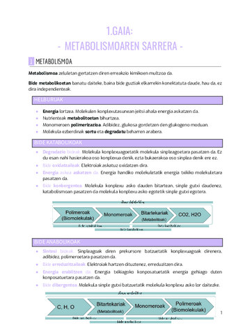 BIOKIMIKA-II-1.gaia.pdf