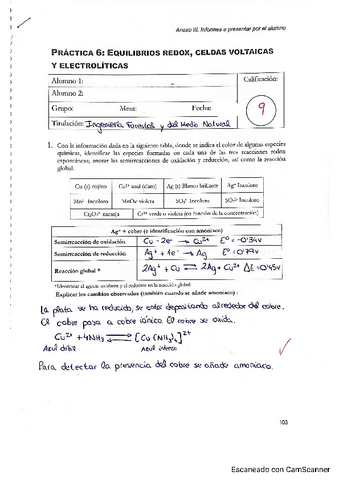 Practica-6-quimica.pdf