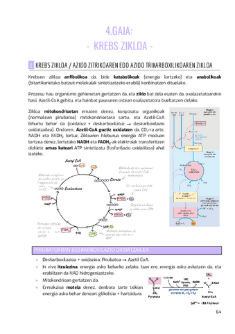 BIOKIMIKA-II-4.gaia.pdf