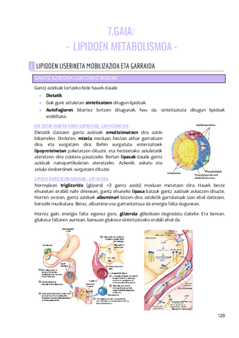 BIOKIMIKA-II-7.gaia.pdf