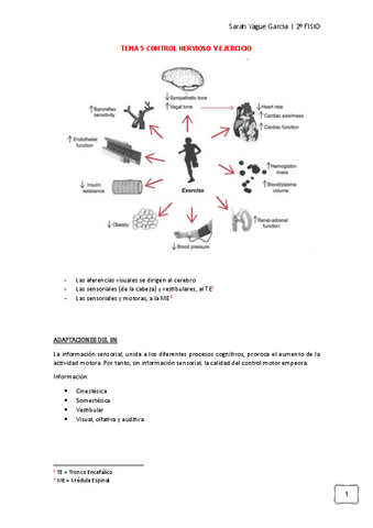 Tema-5-Control-nervioso-y-ejercicio-Sarah-Yague.pdf