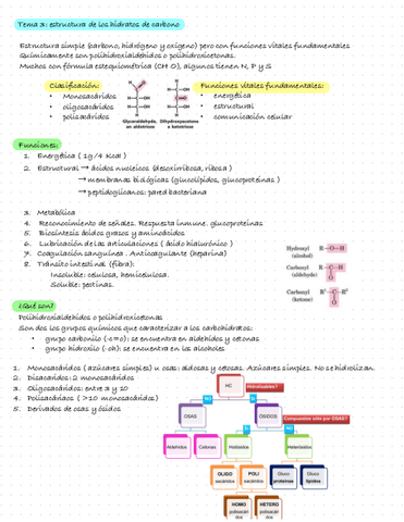 Bioquimica-Tema-3.-Estructura-De-Los-Hidratos-De-Carbono.pdf