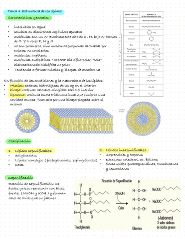 Bioquimica-Tema-4.-Estructura-De-Los-Lipidos.pdf
