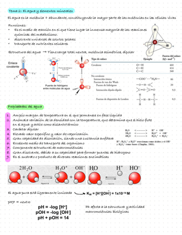 Bioquimica-Tema-2.-El-Agua-Y-Elementos-Minerales.pdf