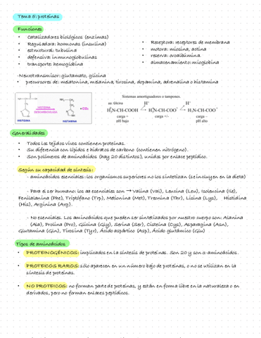 Bioquimica-Tema-5.-Estructura-De-Las-Proteinas.pdf