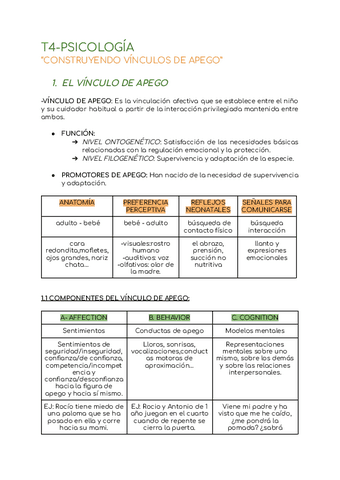 T3-PSICOLOGIA-DEL-DESARROLLO-RPS-APUNTES.pdf