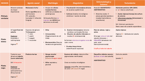 Tema-6.-Dermatomicosis-por-mohos-y-levaduras.pdf