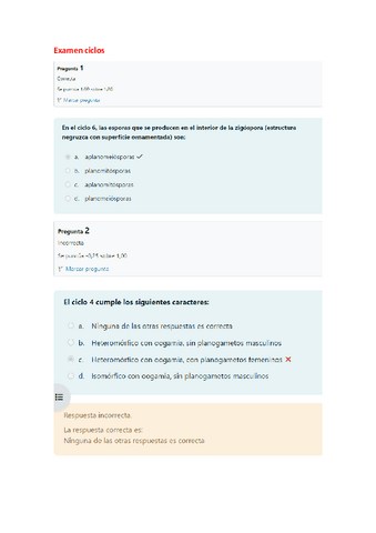 Examen-ciclos.pdf
