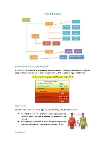 Tema-3.-Obesidad.pdf