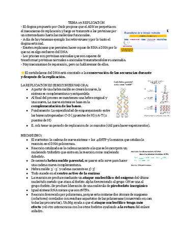 Tema-17-replicacion-del-ADN.pdf