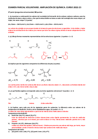 PARCIAL-VOLUNTARIO-2023.pdf