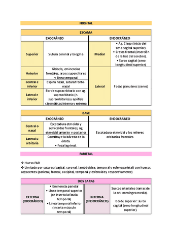 tema-2-entero.pdf