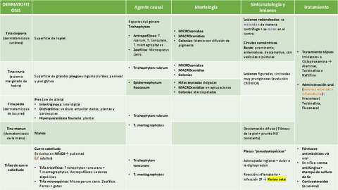 Tema-7.-Dermatomicosis por hongos miceliales.pdf