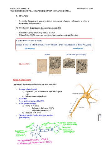 FISIOLOGIA-TEMA-2.4.pdf