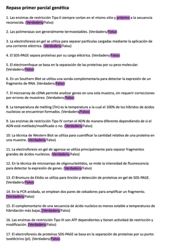 Preguntas-primer-parcial.pdf