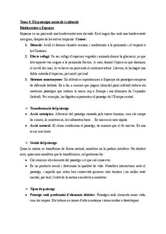 Tema-4-Apunts.pdf