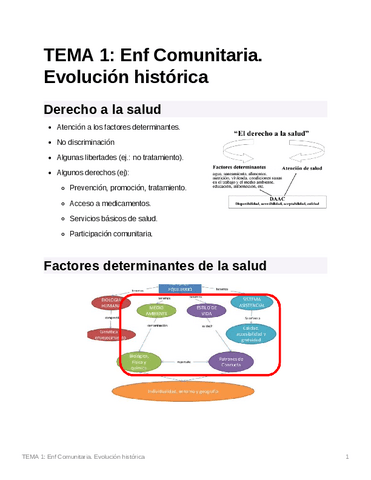 TEMA1EnfComunitaria.evolucinhistrica.pdf