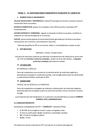 TEMA-2.pdf