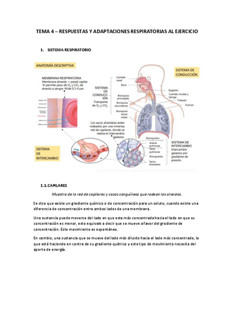 TEMA-4.pdf