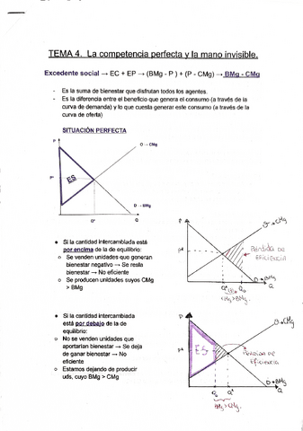 Apuntes TEMA-4.pdf